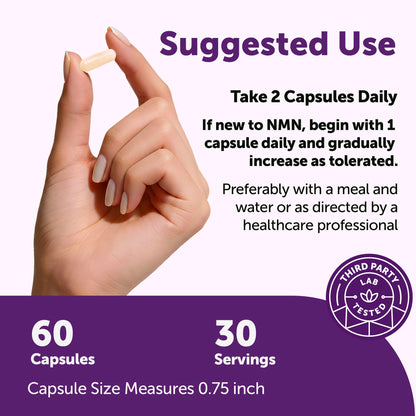 Micro Ingredients NMN Complex 1000mg Per Serving, 120 Veggie Capsules | 10-in-1 with Nicotinamide Mononucleotide, Resveratrol, CoQ10, Quercetin & Glutathione | NAD+ Supplement Precursor | Filler Free