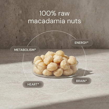 Blueprint Bryan Johnson Raw Macadamia Nuts - No Palm Oil - Keto and Low Carb Snack - No Added Sugar, Vegan, Non GMO, Keto and Paleo Friendly (4 Ounces)