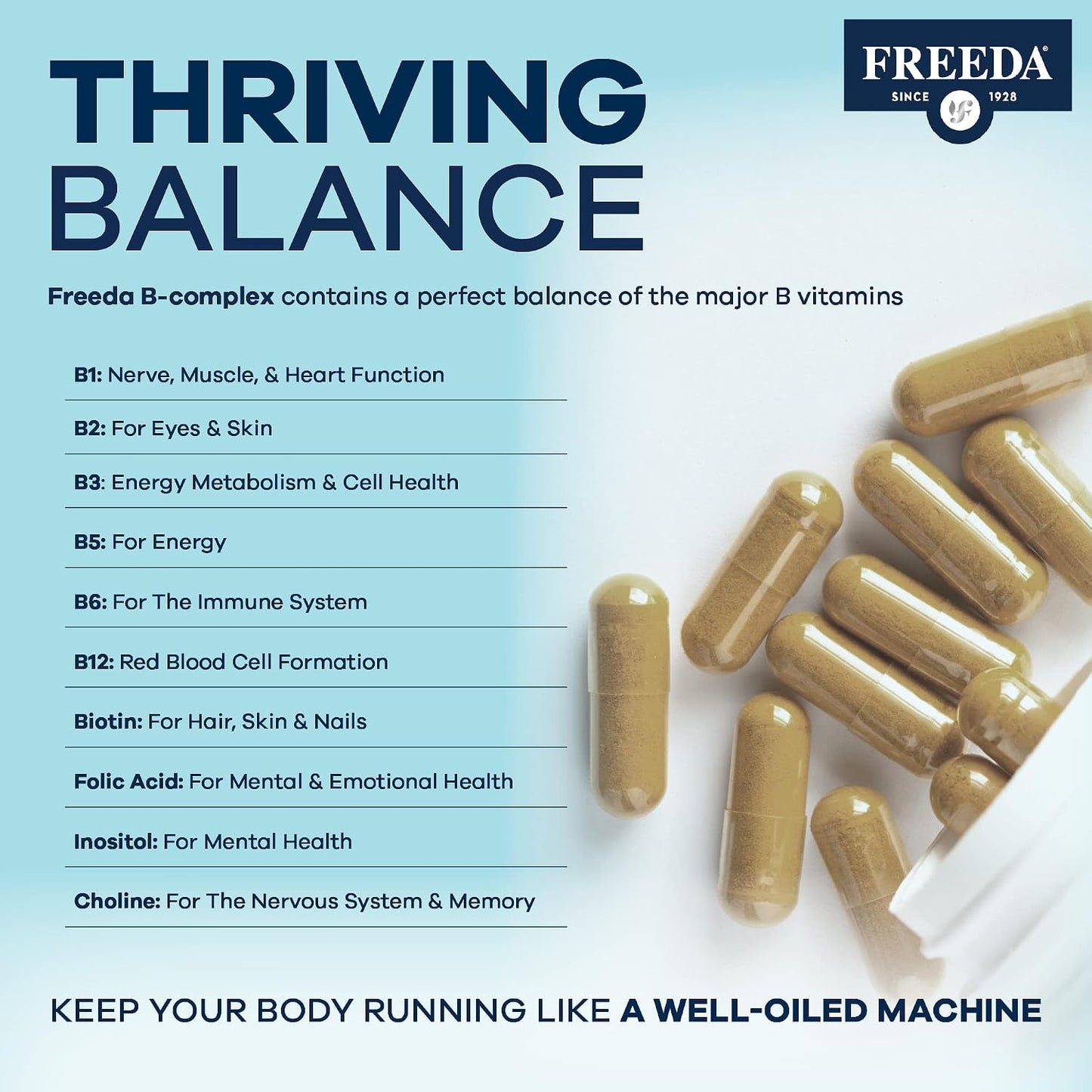 FREEDA Super B-50 Complex with Choline & Inositol for Metabolism – 250 Caps | Supports Energy, Immune & Nervous System, & Whole Body Wellness – Kosher, Gluten-Free, Vegan, & Made in USA