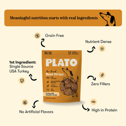 Plato Real Strips Turkey & Pumpkin Recipe Dog Treats, Air-Dried High-Protein Grain-Free Soft Strips with Real Pumpkin, 18 oz