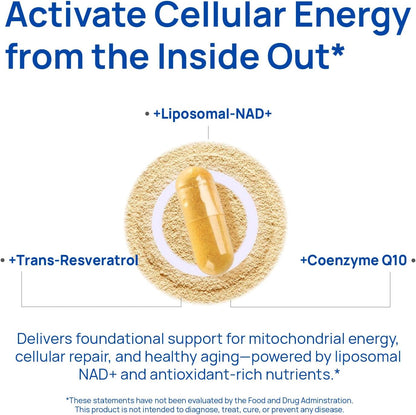 Selerb NAD+ Supplements for Men & 18 in 1 Magnesium Complex – Cellular Energy, Muscle, Sleep & Bone Support with Nitric Oxide, Resveratrol, CoQ10, Liposomal Magnesium, D3 & K2