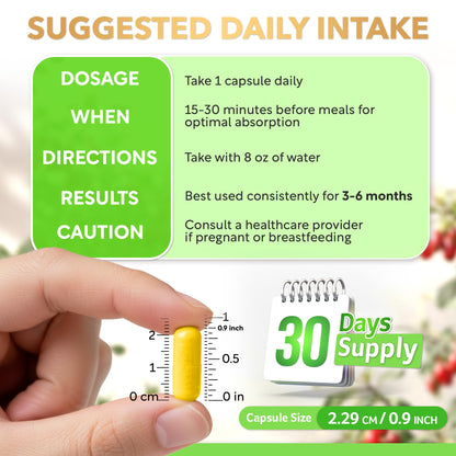 Dihydroberberine 250mg | GlucoVantage 30 days Supply | DHB supplement