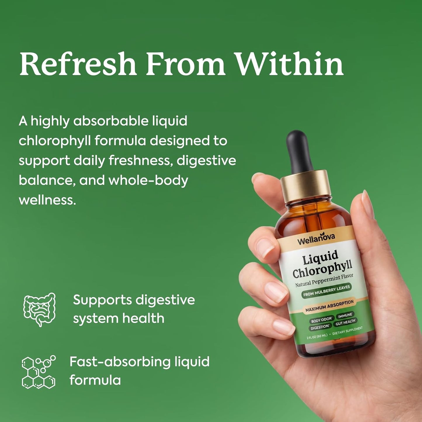 Chlorophyll Liquid Drops from Mulberry Leaf - Natural Peppermint for Detox, Internal Deodorizer and Immune Support - Maximum Absorption - 2 fl oz