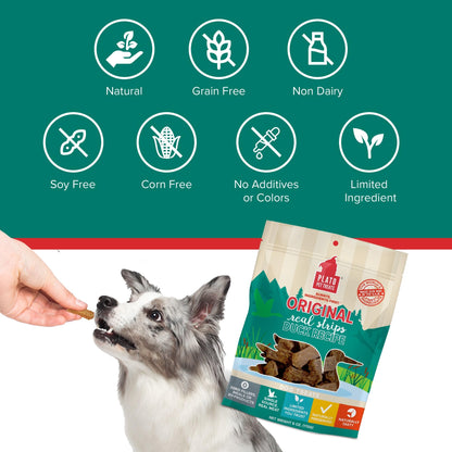 Plato Real Strips Salmon Recipe Dog Treats, Air-Dried High-Protein Soft Strips, Omega-Rich Skin & Coat Support, 18 oz