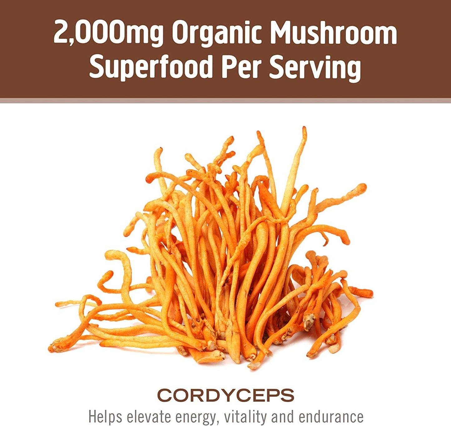 OM MUSHROOM SUPERFOOD Cordyceps Mushroom Capsules Superfood Supplement, 90 Count, 30 Days, Organic Energy Supplement for Stamina and Endurance