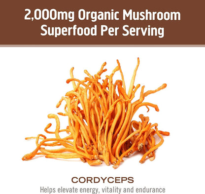 OM MUSHROOM SUPERFOOD Cordyceps Mushroom Capsules Superfood Supplement, 90 Count, 30 Days, Organic Energy Supplement for Stamina and Endurance