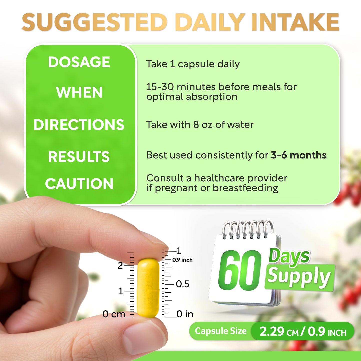 Dihydroberberine 250mg | GlucoVantage 30 days Supply | DHB supplement