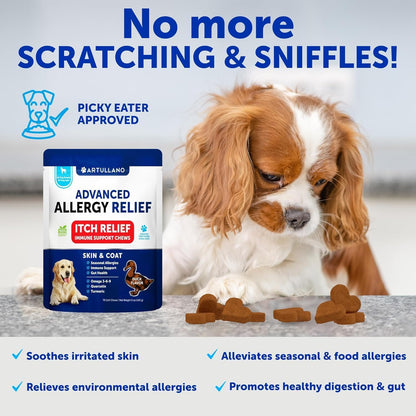 20 in 1 Dog Multivitamin + Allergy Relief Chews Bundle - Vitamins for Hip & Joint Support, Immunity, Mobility - Omega 3 for Skin & Coat, Anti-Itch, Hot Spots Treatment, Seasonal Allergy