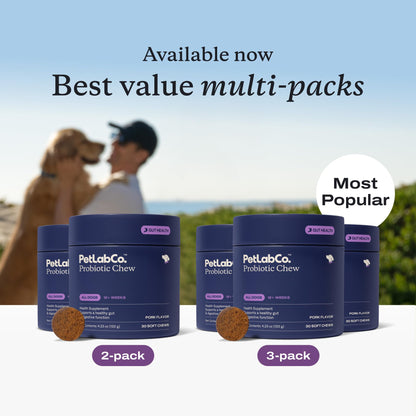 PetLab Co. Probiotic Chews for Dogs, 30 Soft Chews, Salmon | 8-strain probiotic blend with prebiotics to support digestive health, skin and seasonal allergy support