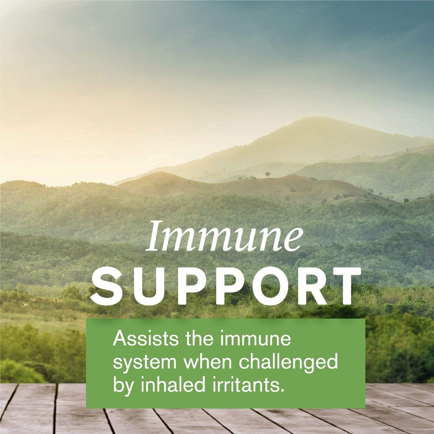 Nature's Sunshine Seasonal Allergy Liquid Herbal Supplement – Botanical Respiratory Support, 2 fl. oz.