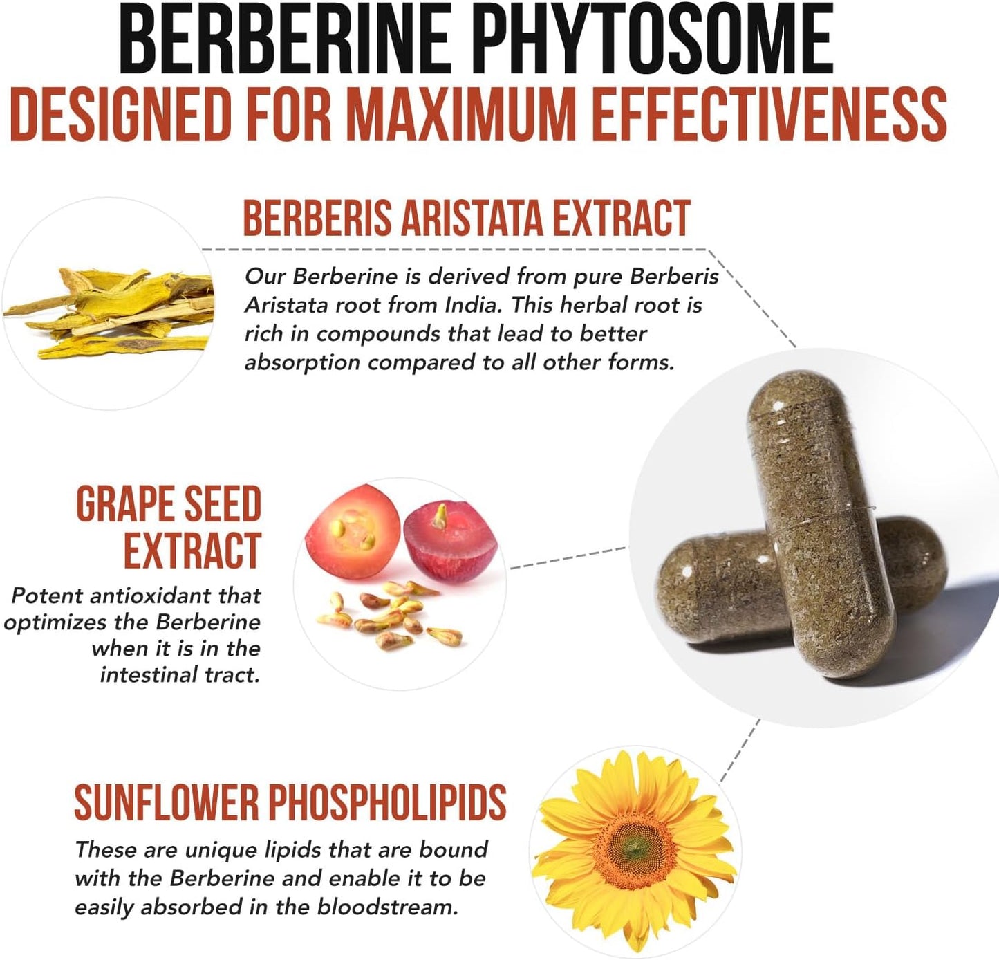 SoActive Berberine 550mg: 9.6X Higher Absorption, Clinically Studied, Optimized Phytosome | Supports Metabolism & AMPK Activation | Non-GMO, Soy-Free | Clinically Validated Dose | 60 Servings