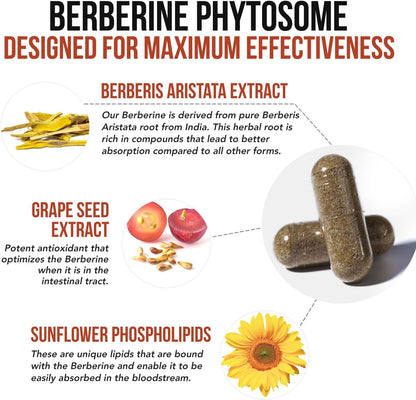 SoActive Berberine 550mg: 9.6X Higher Absorption, Clinically Studied, Optimized Phytosome | Supports Metabolism & AMPK Activation | Non-GMO, Soy-Free | Clinically Validated Dose | 60 Servings