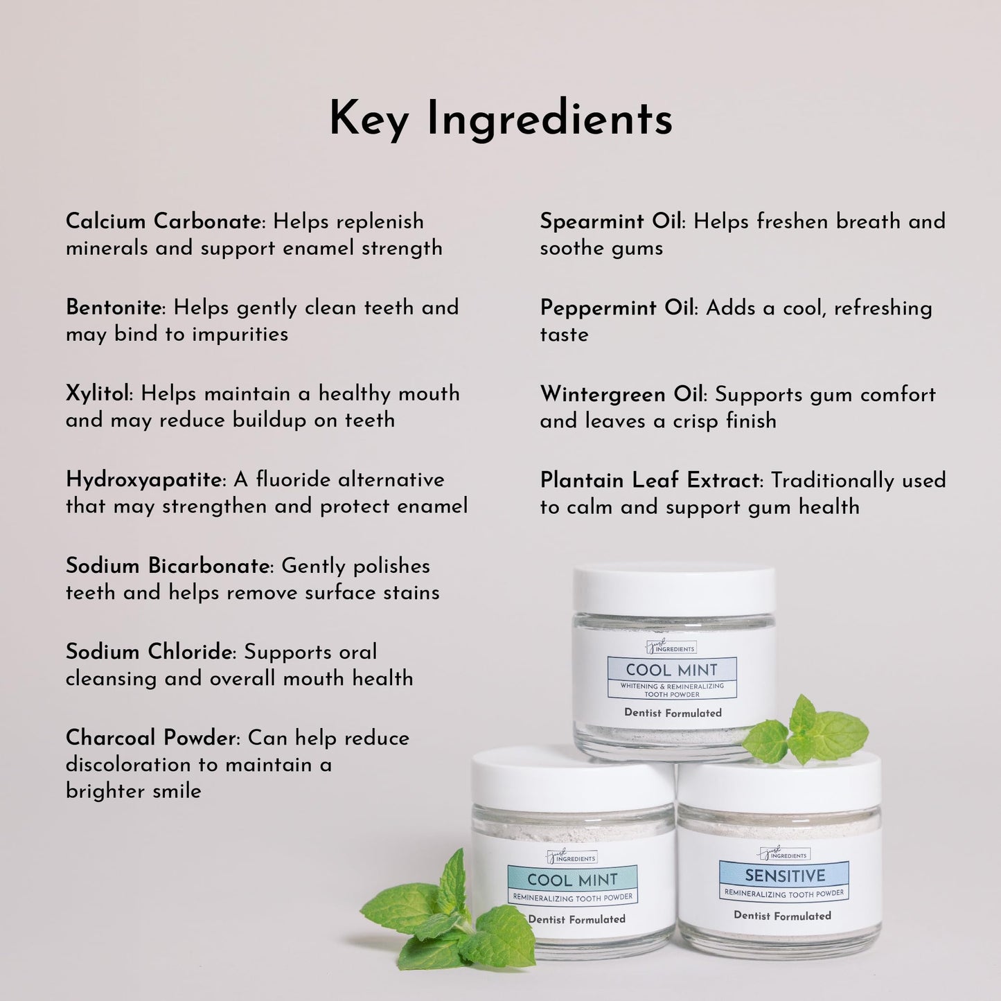 Just Ingredients Remineralizing Tooth Powder - Fluoride-Free, Whitens, Vegan, Clean - 1 oz Whitening