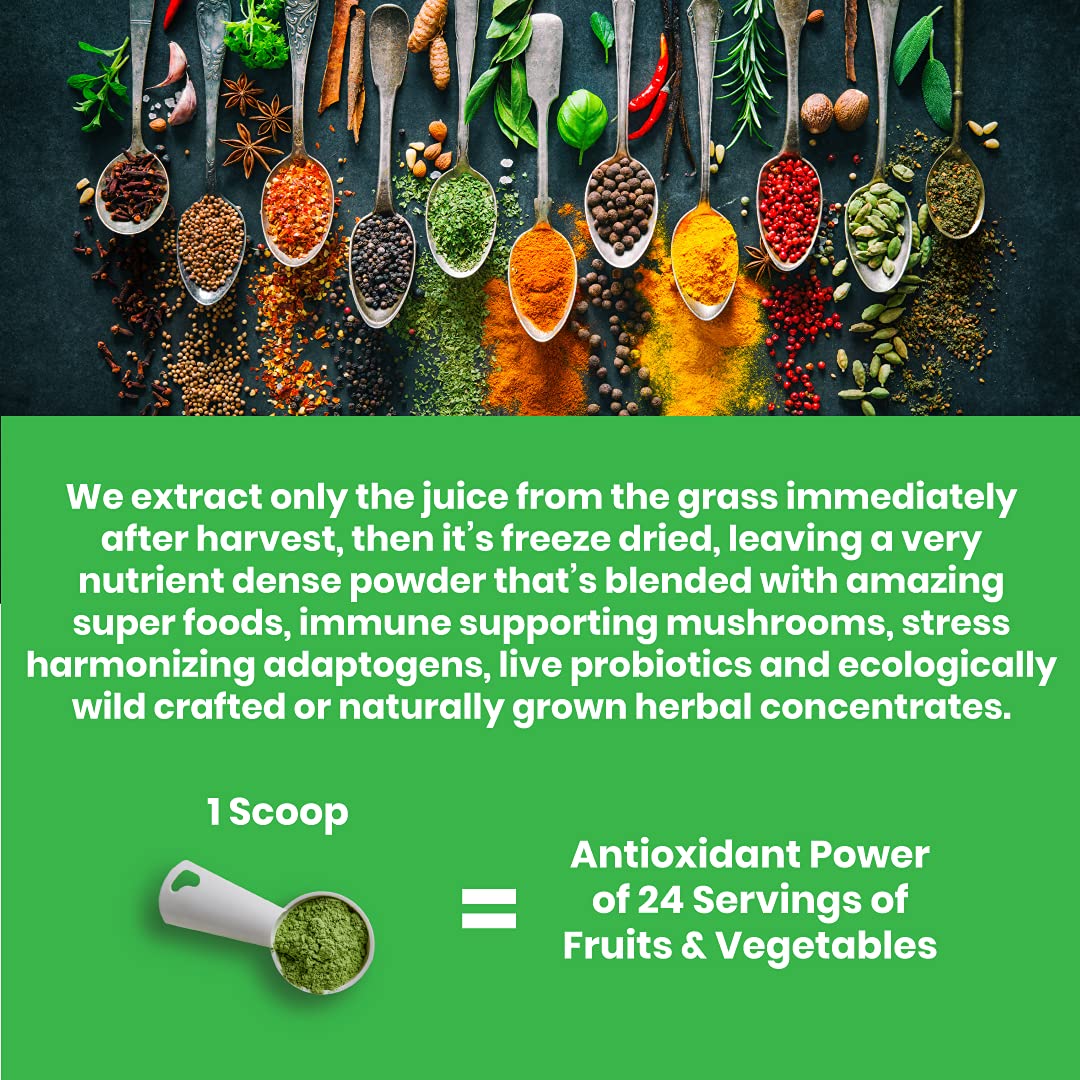 Paradise ORAC Energy Greens Powder Extract, Super Antioxidants, Probiotics for Gut
