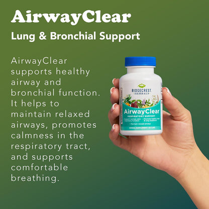 RidgeCrest Herbals AirwayClear Natural Lung and Breathing Support 60 Ct | 30 Servings, Gluten Free, Vegan Capsules, Schisandra Fruit, Cassia Bark, Ginger Root, Sinus, Mucus and Immune Wellness
