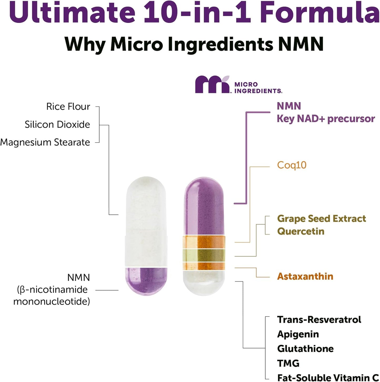 Micro Ingredients NMN Complex 1000mg Per Serving, 120 Veggie Capsules | 10-in-1 with Nicotinamide Mononucleotide, Resveratrol, Astaxanthin, TMG & CoQ10. NAD+ Supplement Precursor. Filler Free.
