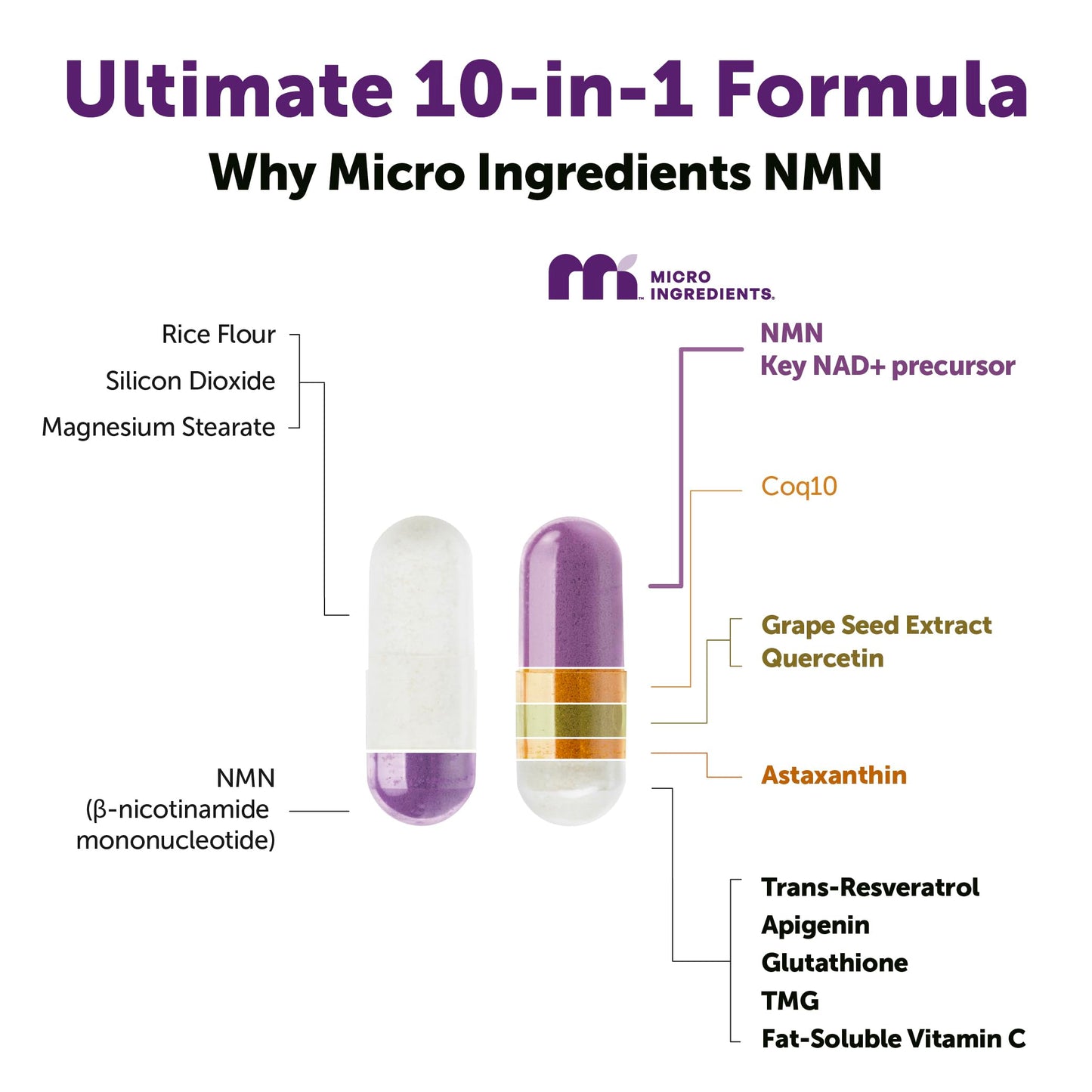 Micro Ingredients NMN Complex 1000mg Per Serving, 120 Veggie Capsules | 10-in-1 with Nicotinamide Mononucleotide, Resveratrol, CoQ10, Quercetin & Glutathione | NAD+ Supplement Precursor | Filler Free