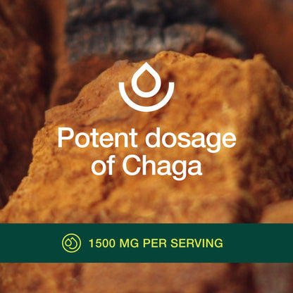 Fresh Nutrition Organic Chaga Mushrooms – Strongest DNA Verified 1500mg Per Serving – High in Fiber – Non GMO, Gluten & Soy Free, Vegan Friendly