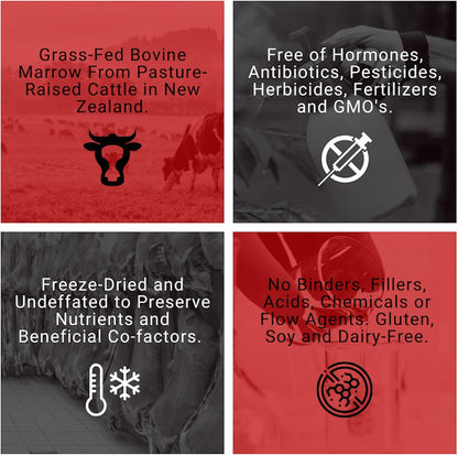 Beef Bone Marrow Supplement, Grass Fed Freeze-Dried Bone Marrow Capsules with Vitamin K2, Healthy Fats & Collagen, Whole Food Ancestral Organ Supplement, 90 Count