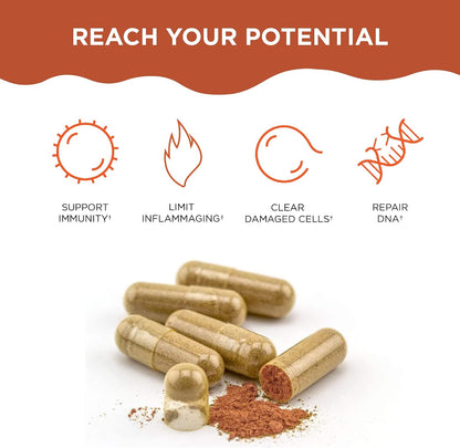 Healthycell Telomere Length + AC-11 | Anti-Aging & DNA Repair Supplement | Telomere Length + AC-11 DNA Repair Supplements - Advanced Anti-Aging & Cellular Health Support for Longevity