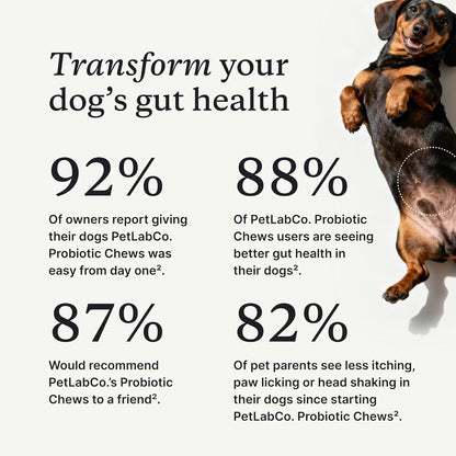 PetLab Co. Probiotic Chews, 30 Soft Chews, 2-Pack, Salmon | 8-strain probiotic blend with prebiotics to support digestive health, skin and seasonal allergy support