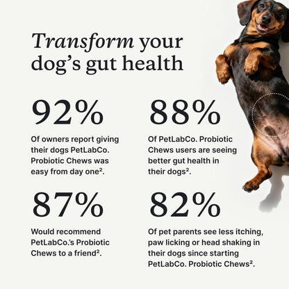 PetLab Co. Probiotic Chews for Dogs, 30 Soft Chews, Salmon | 8-strain probiotic blend with prebiotics to support digestive health, skin and seasonal allergy support