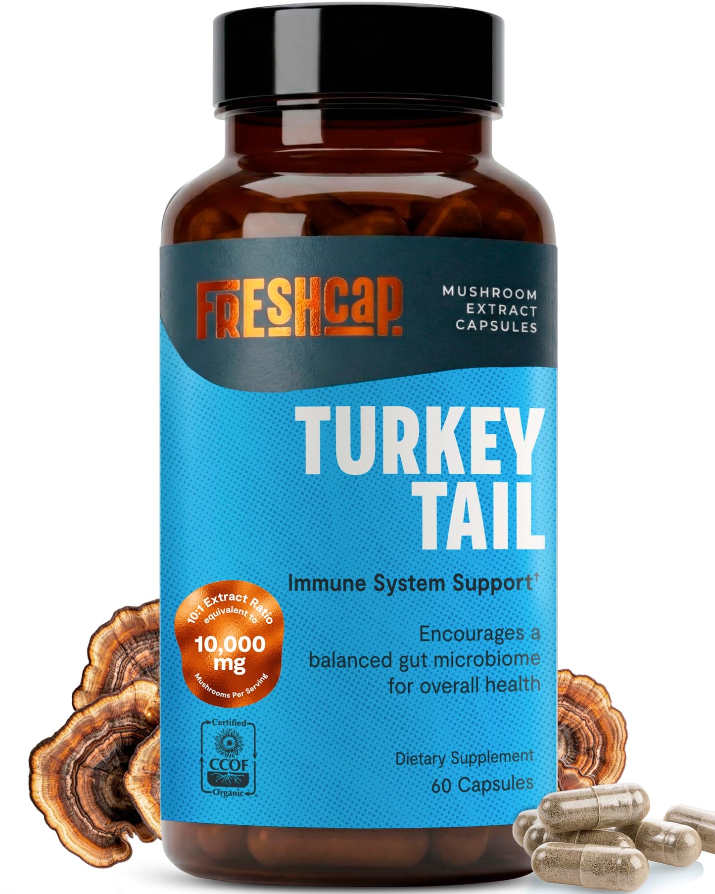 FreshCap Mushrooms Premium Organic Lions Mane Capsules - 14:1 Fruiting Body Extract with 31% Beta-Glucans - 3rd-Party Tested Nootropic for Clarity, Focus & Cognitive Support (120 Capsules)