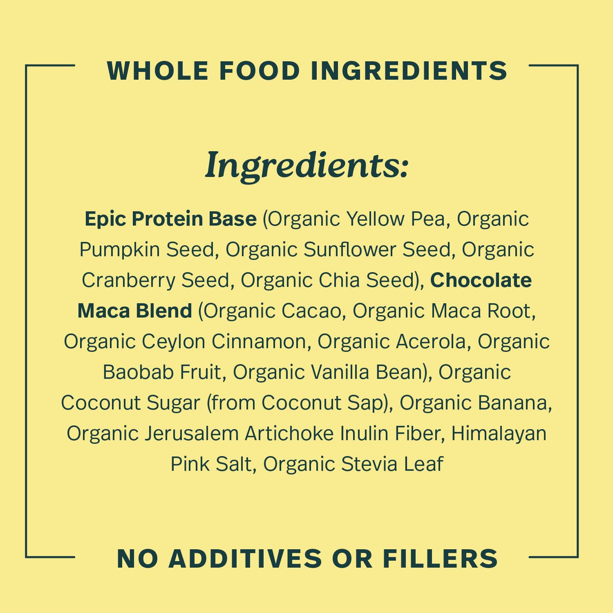 Sprout Living Epic Protein, Plant Based Protein & Superfoods Powder, Vanilla Lucuma Powder | 20 Grams Organic Protein Powder, Vegan, Non Dairy, Non-GMO, Gluten Free, Low Sugar (1 Pound, 12 Servings)
