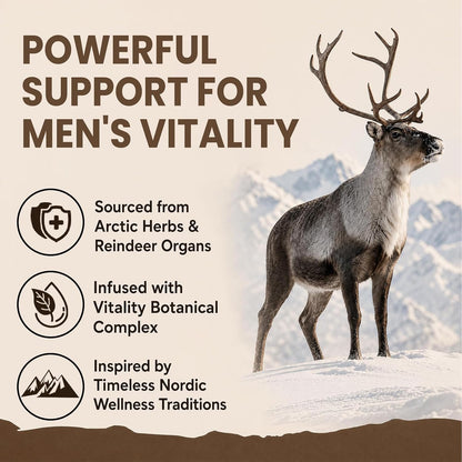15-in-1 Reindeer Organ Supplement with Arctic Herb for Men, 100 Capsules | 500mg Reindeer Organ Complex with Rhodiola, Nettle, Tongkat Ali, Supports Energy, Stamina & Overall Wellness, 50 Day Supply