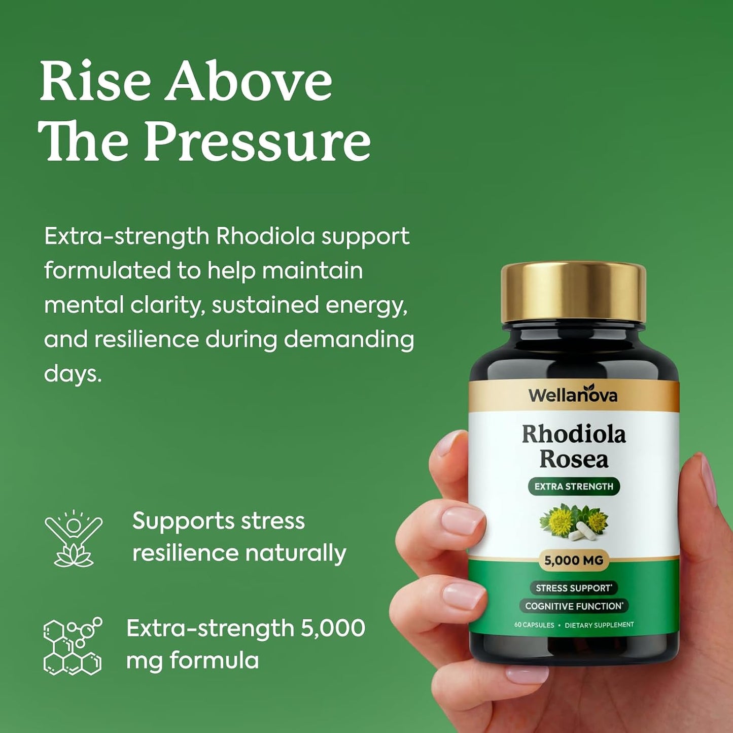 Rhodiola Rosea Supplement Capsules - Extra Strength 10:1 Root Extract 500 mg Equivalent to 5,000 mg Whole Rhodiola - Adaptogenic Herb for Stress Support & Cognitive Function - 60 Capsules