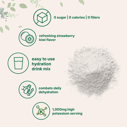 Micro Ingredients Electrolytes Powder, 2lbs (139 Servings) | Sugar Free | Lemon Raspberry Flavor | High Potassium (1,000mg) + Coconut Water & Real Lemon Juice | Keto Friendly, Non-GMO