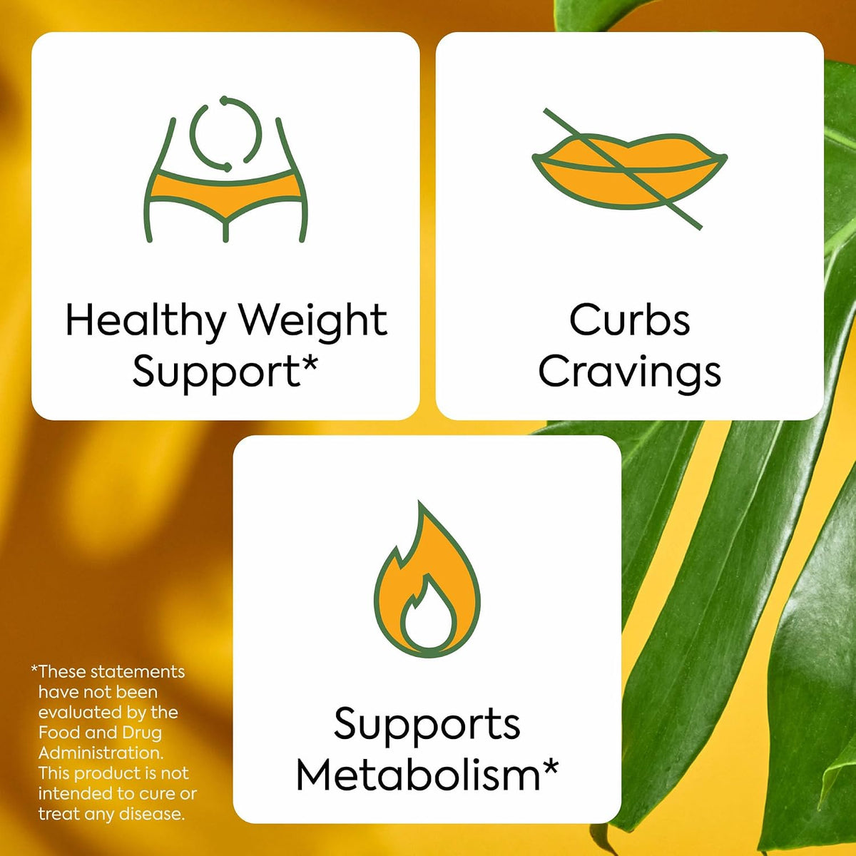 Plant People WonderBurn Metabolism Gummies, Ripe Mango Flavor (60 Count)
