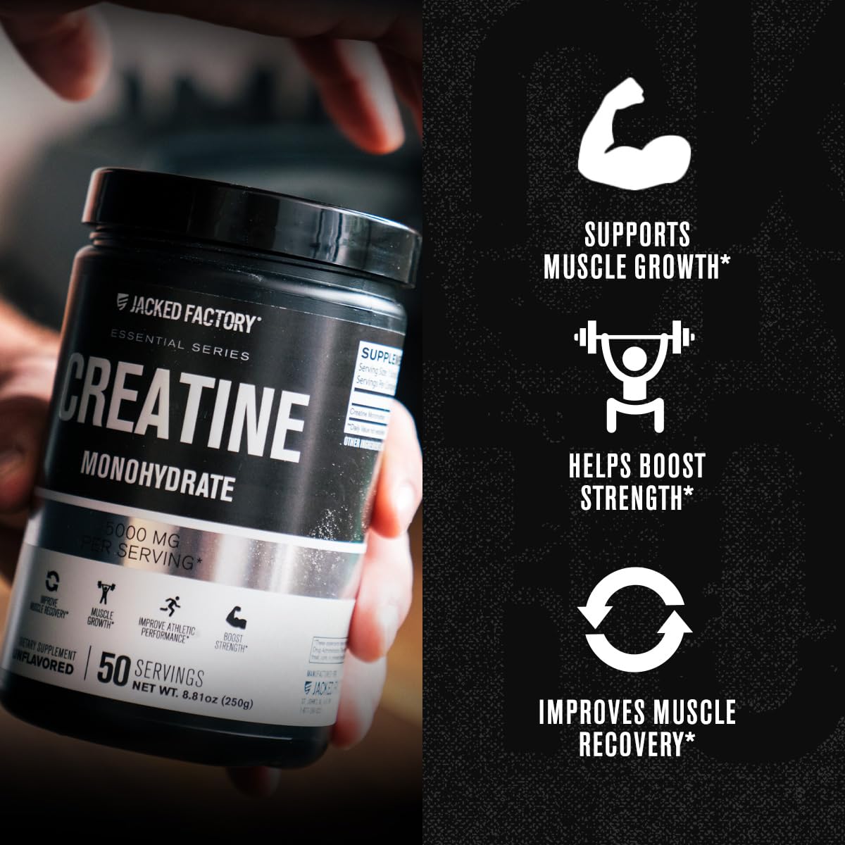 Jacked Factory Creatine Monohydrate Powder 250g - Creatine Supplement for Muscle