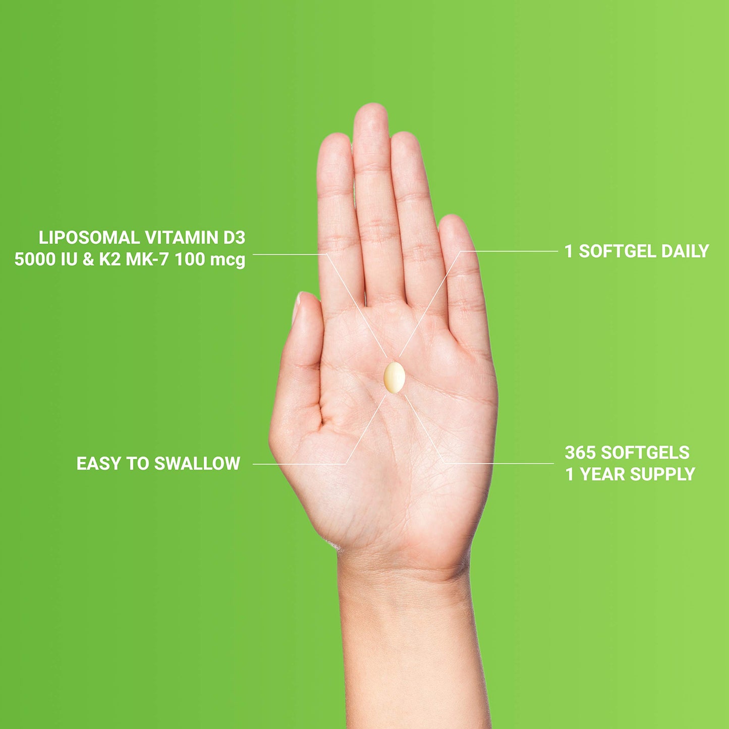 UpNourish Liposomal D3 K2 MK-7 – 365 Mini softgels with Organic Coconut Oil - 5000 IU 125 mcg Vitamin D3 and 100 mcg Vitamin k2 for Optimal Bone and Immune Health