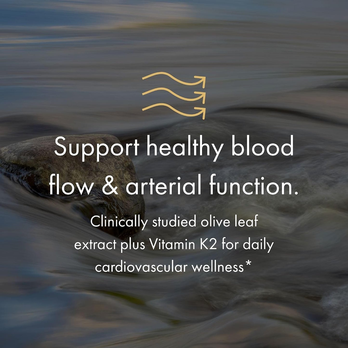 NAOMI BP Advanced - Olive Leaf Extract & Vitamin K2 for Healthy Blood Pressure & Arterial Flexibility Already in Normal Range - Patented Benolea® 1000mg + K2Vital® 180mcg, Vegan, 30-Day Supply