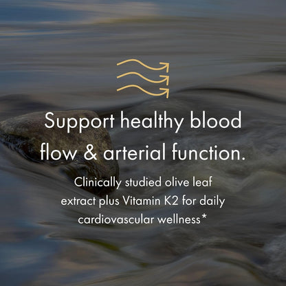 NAOMI BP Advanced - Olive Leaf Extract & Vitamin K2 for Healthy Blood Pressure & Arterial Flexibility Already in Normal Range - Patented Benolea® 1000mg + K2Vital® 180mcg, Vegan, 30-Day Supply
