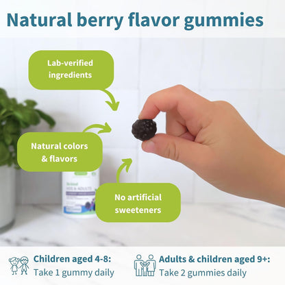 Igennus Advanced Elderberry Immune Gummies with Vitamin C, Zinc & D3, 4-in-1 Formula, 90 Gummies, 75:1 Concentration Standardized Extract, Natural Flavors, Clean Label, Vegetarian, Kids and Adults