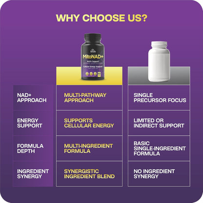 HerbaMe NAD+ Support Supplement - Multi-Pathway Cellular Energy Formula with Nicotinamide, CoQ10, PQQ, Resveratrol & Apigenin - Mitochondrial Support & Healthy Aging - 60 Capsules