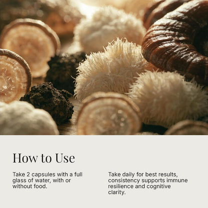 Daily Mushrooms+ Organic Mushroom Powder | 7 Fruiting Body Extracts + Adaptogens | Lion's Mane, Reishi, Cordyceps, Chaga | 60 Servings