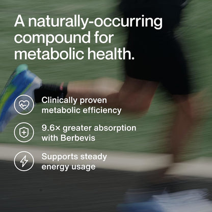Momentous Berberine - Natural Bioavailable Supplement Formulated from Plant Alkaloid to Help Support Metabolic & Cardiovascular Health - Vegan - Gluten Free - NSF Certified for Sport - 60 Servings
