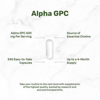 DEAL SUPPLEMENT Alpha GPC 600 mg Per Serving, 240 Capsules – Alpha GPC Choline Supplement – 120 Servings – Non-GMO, Gluten Free