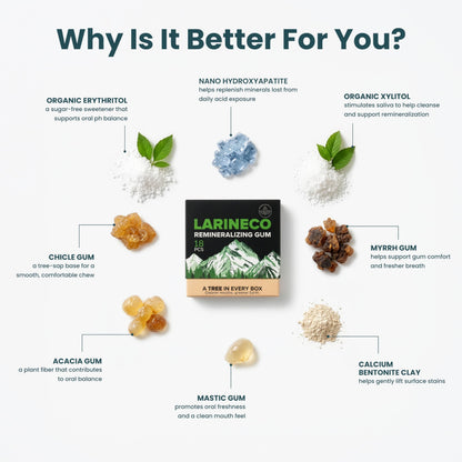 Larineco Remineralizing Gum with Nano Hydroxyapatite & Xylitol – Sugar-Free Xylitol Gum – Plastic-Free, Dye-Free, Aspartame-Free – Natural Base – 36 Pieces, Mastic Mint