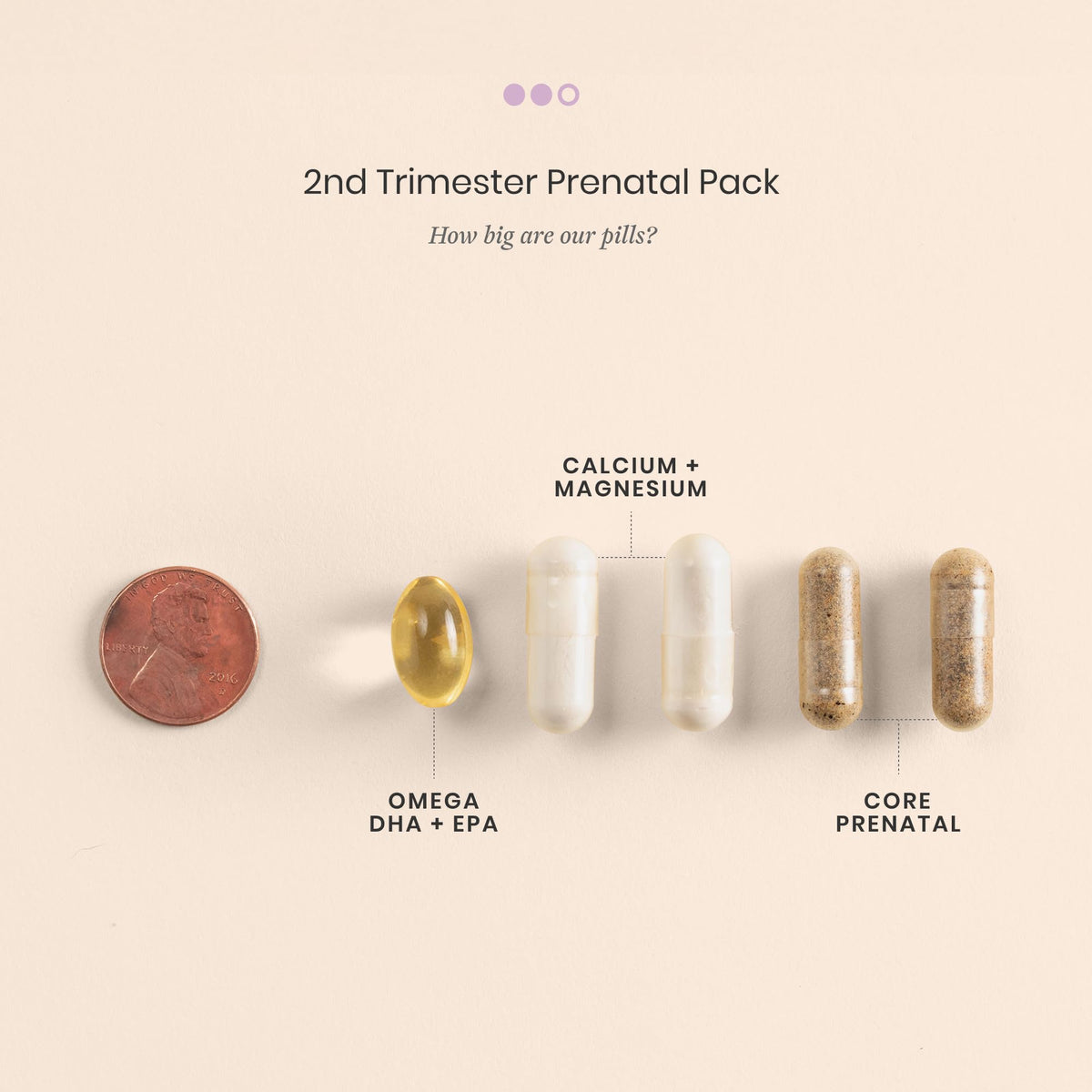 Perelel 1st Trimester Prenatal Vitamins for Women, Folate, Omega 3, Iron