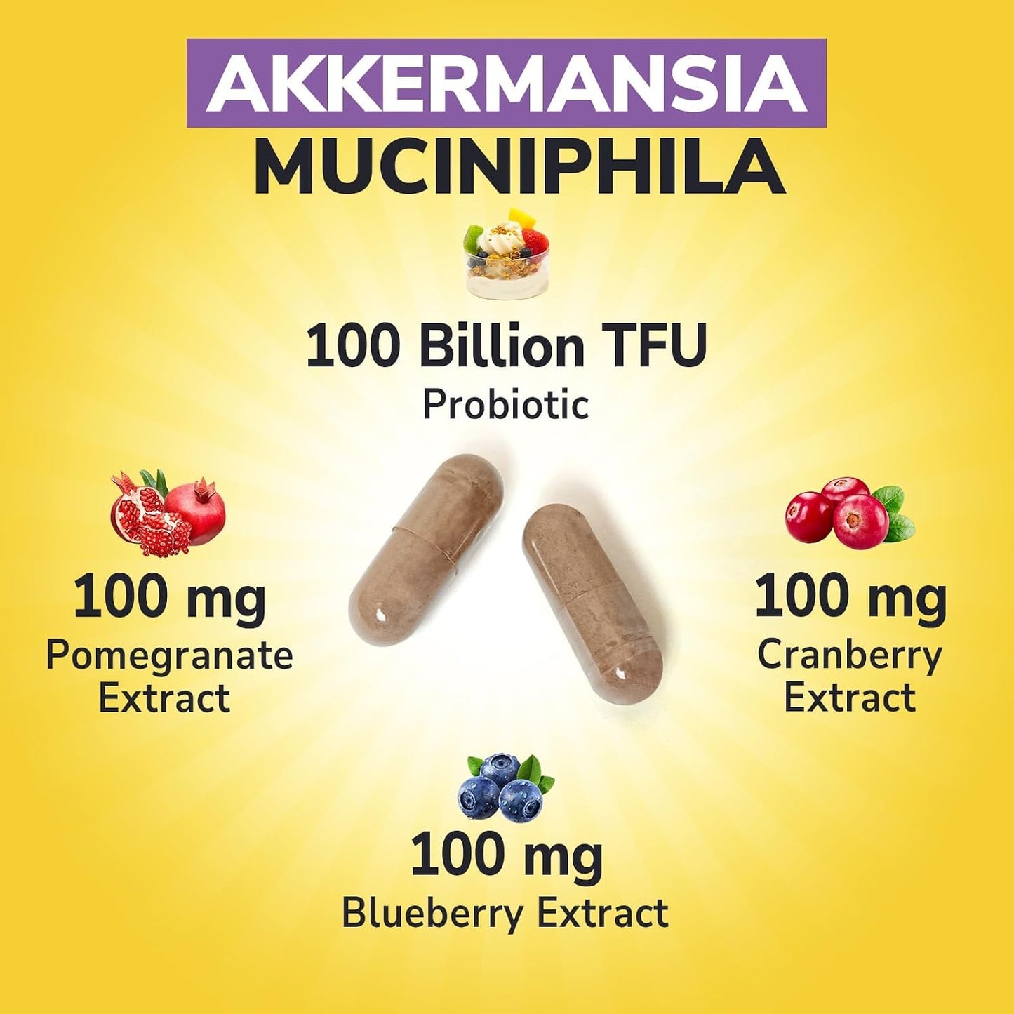 Vitalibre Akkermansia Probiotics 100 Billion TFU, Pasteurized Akkermansia Muciniphila, w/Cranberry, Blueberry & Pomegranate, Digestive & Immune Health, Leaky Gut, GLP-1 Supplement, 30 Vegan Capsules