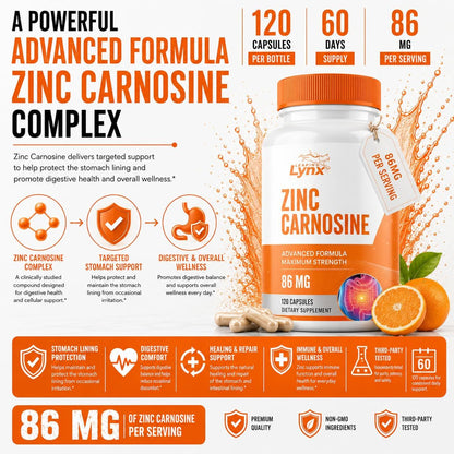 Zinc Carnosine 86 mg – Clinically Studied Zinc + L-Carnosine Complex for Gut Lining & Stomach Support | 120 Capsules (60-Day Supply) | Digestive Comfort, Mucosal Repair & Balance | Non-GMO