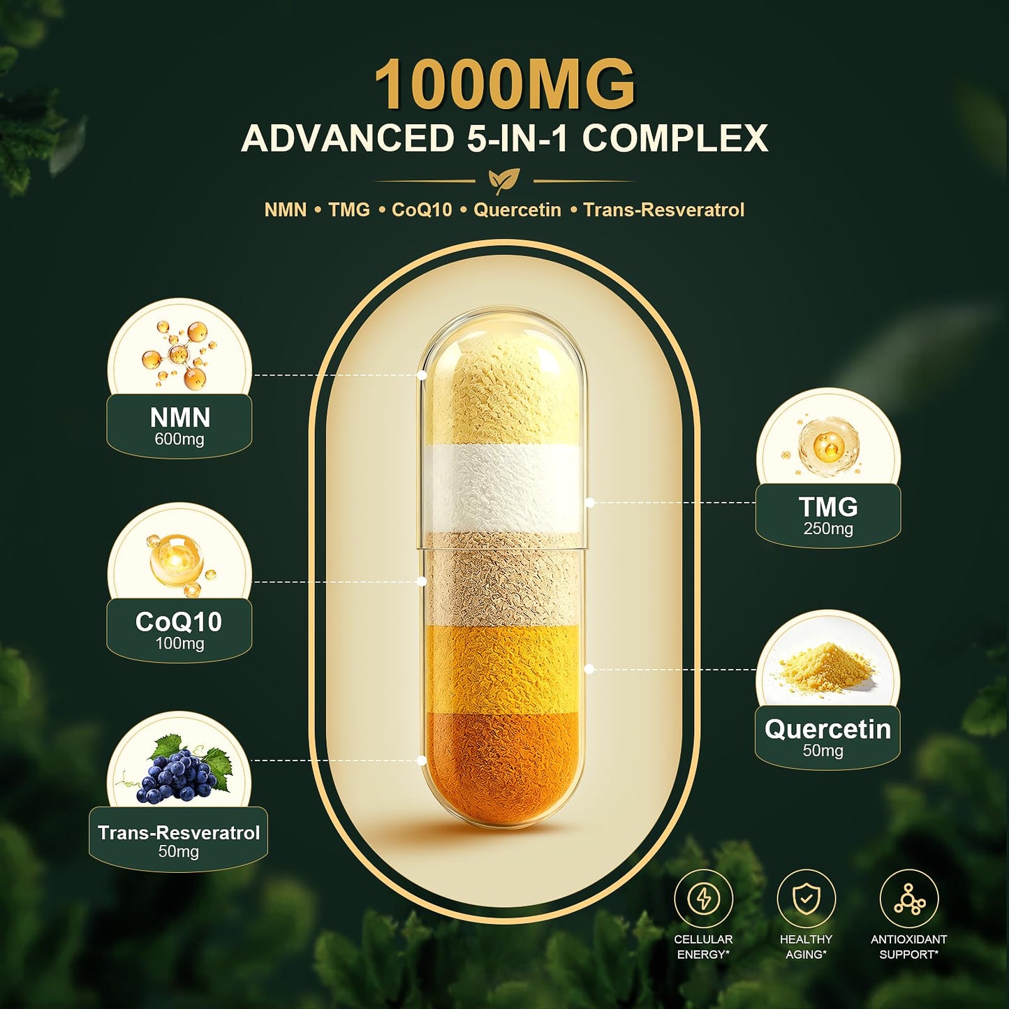 NMN Supplement, NAD+ Precursor Support 1000mg 5-in-1 Complex with 600mg Nicotinamide Mononucleotide and TMG 200mg, Trans-Resveratrol, Quercetin, CoQ10 for Cellular Energy, Antioxidant Support