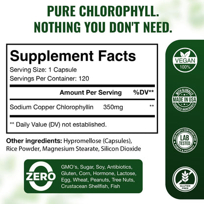Chlorophyll Capsules 350mg – High Potency Sodium Copper Chlorophyllin Supplement for Internal Freshness, Detox, Digestion, Immune & Skin Health – Easy to Swallow – Made in USA – 120 Vegan Cap