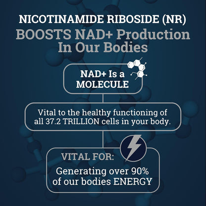 Black Forest NAD Nicotinamide Riboside 900 mg (Liposomal Nicotinamide Riboside 900mg Resveratrol, Quercetin 500mg & 150mg of NAD Resveratrol Supplement) 1550 MGS NR Supplement 900mg NAD+