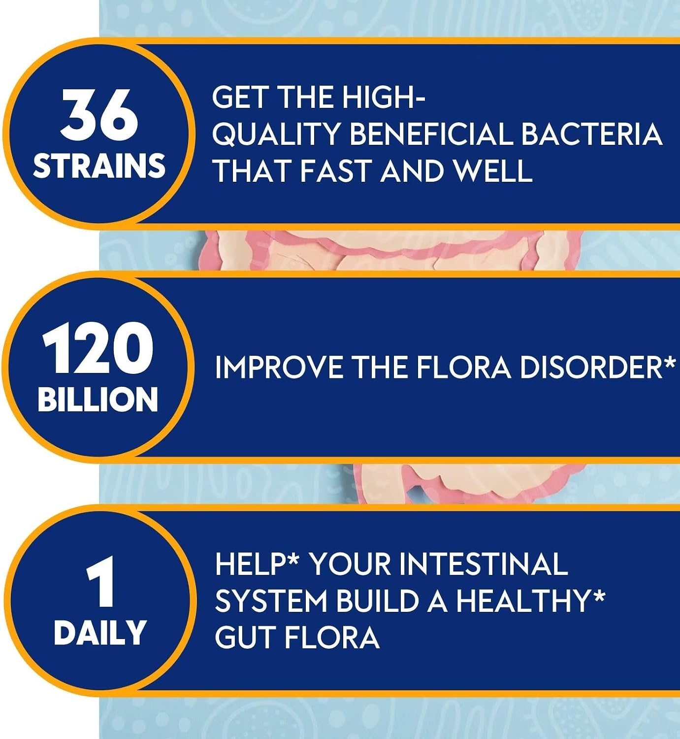 Probiotics & Digestive Enzymes Bundle – 120 Billion CFU, 36 Probiotic Strains + Multi-Enzyme Complex for Men & Women – Supports Digestive Balance, Gut Health & Nutrient Absorption – Vegan, Non-GMO, 90