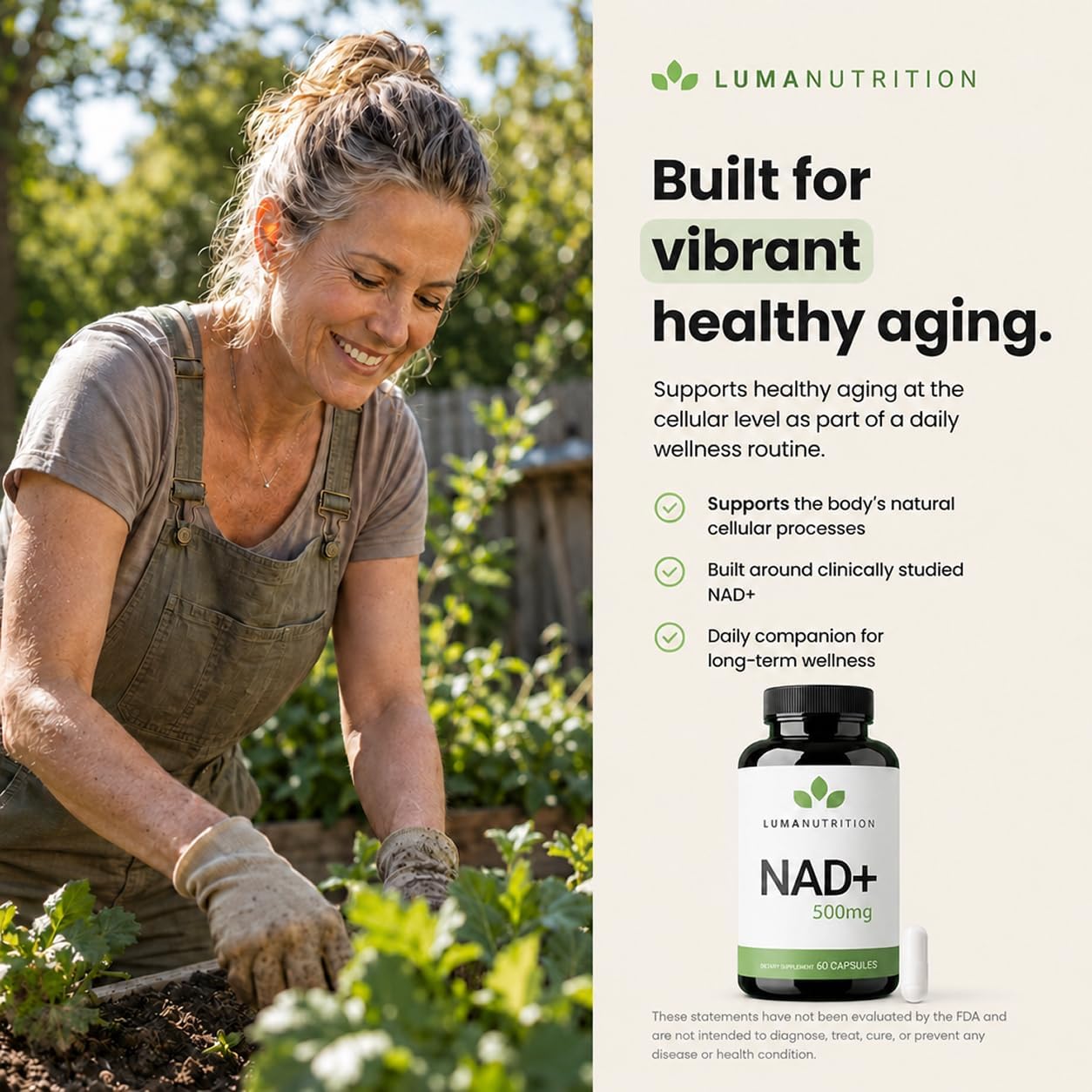 Luma Nutrition NAD+ Supplement 1000mg for Women & Men - 60 Capsules